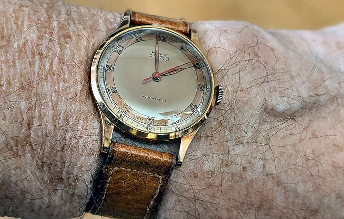 PXL_20260121_120419294.PORTRAIT