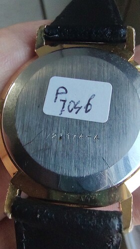 17550233863447606112357525267217