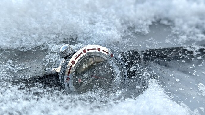 PXL_20260107_084847053.PORTRAIT_01