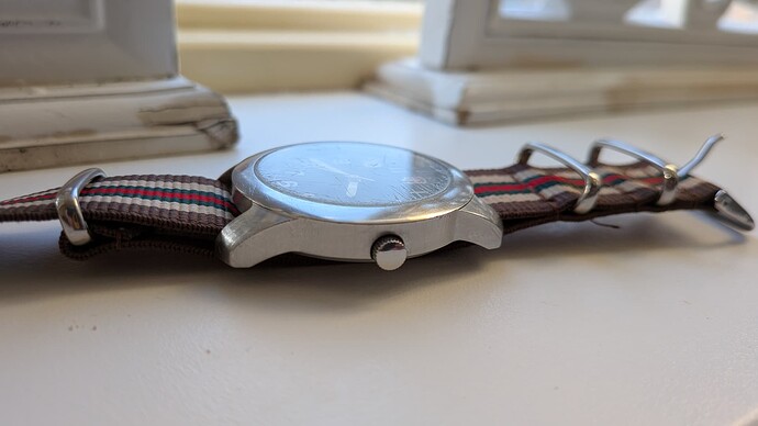 PXL_20260117_144040148.MACRO_FOCUS