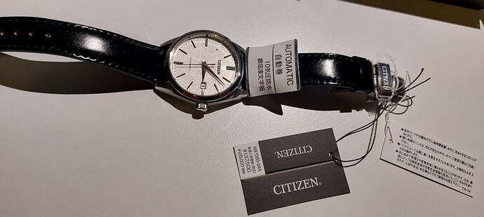 CITIZEN NB1060-04A - HF01