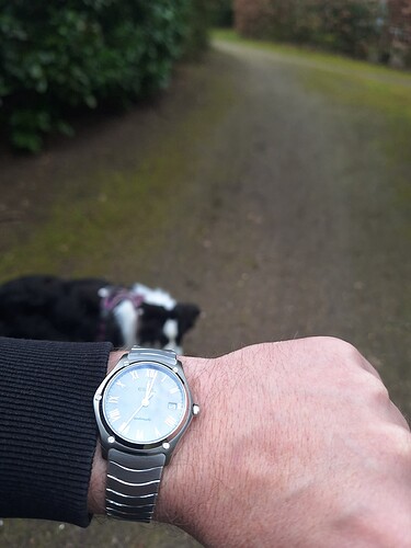 17753832227804641247612549718392