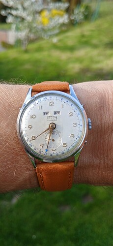 17764439487317952011252392038958