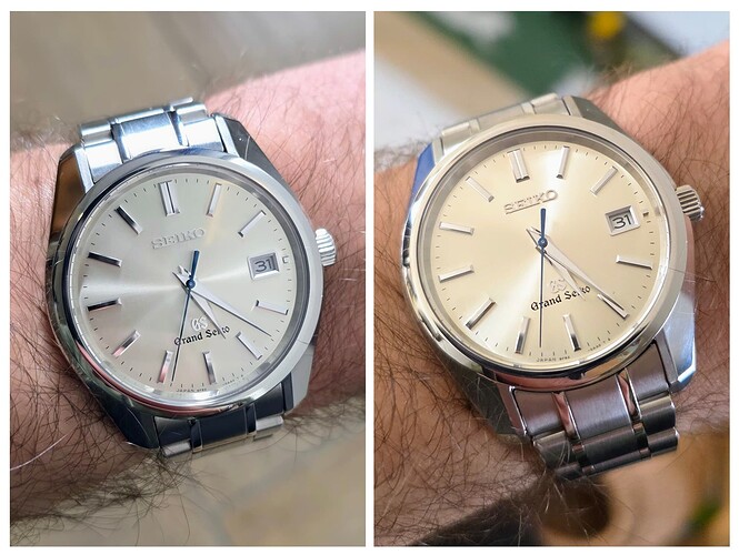 20260331_173028-COLLAGE