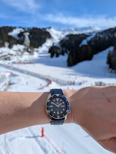 PXL_20260114_130711930.MP