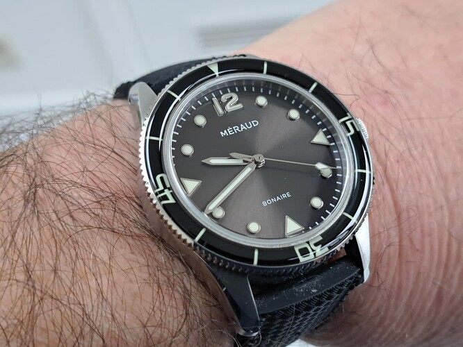 17709719913915740806795041036498