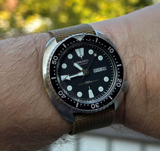 Seiko29Sep25cut