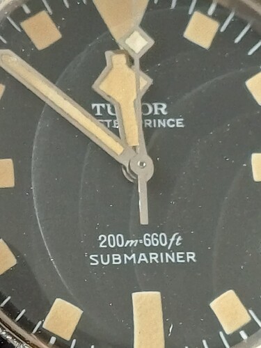 17620807013035407068895177960050