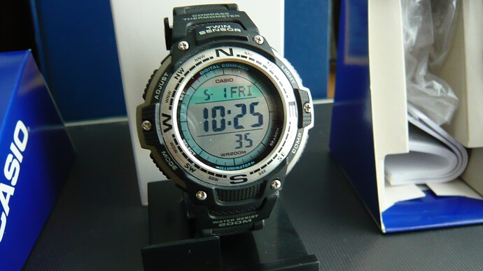 P1100033