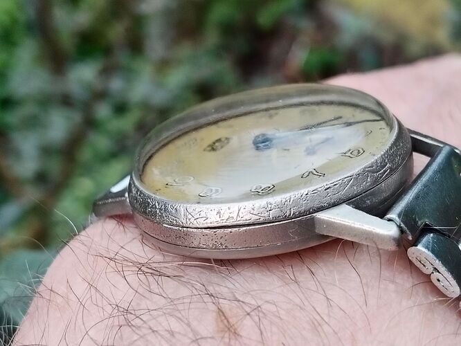 IMG20260202162846    3