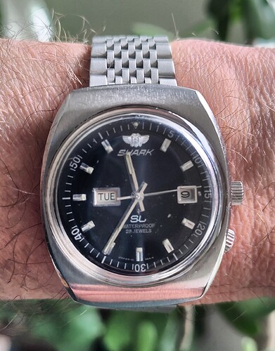 IMG_20260307_113508_DRO