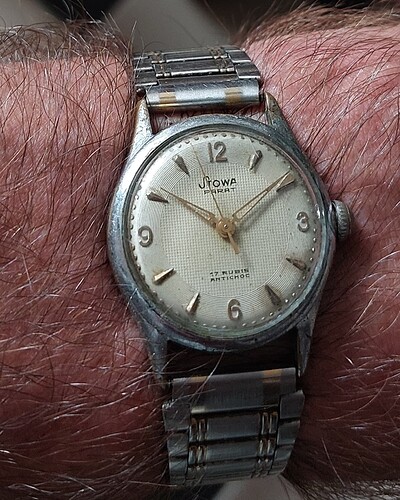 61 Stowa