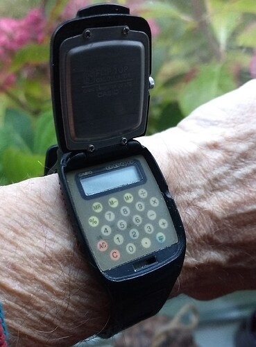 IMG_20251027_075200564~2