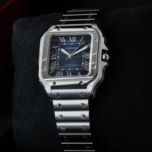 Cartier-2025-Santos-de-Cartier240902-7_900x