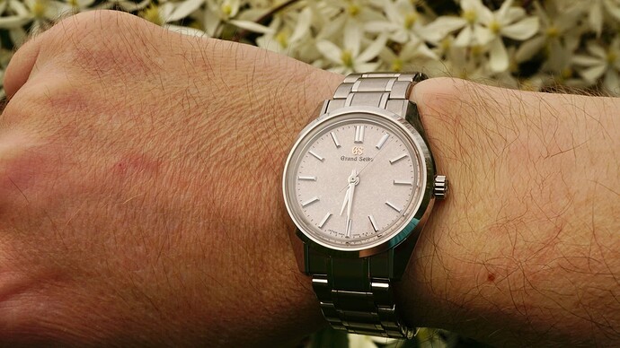 37DD7F00-7118-43FF-8C21-C3551A44B192_1_201_a