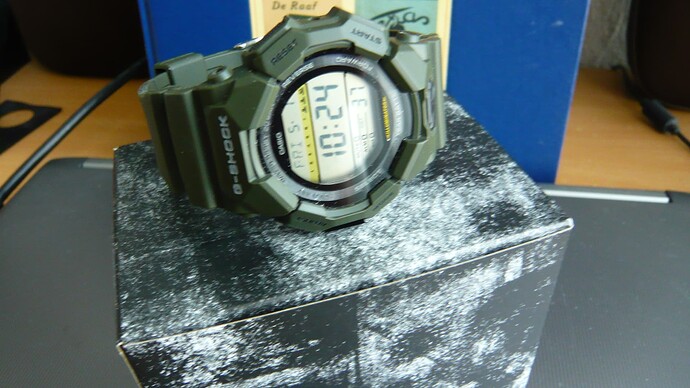 P1100031