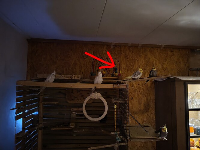 IMG_20251214_084316789~2