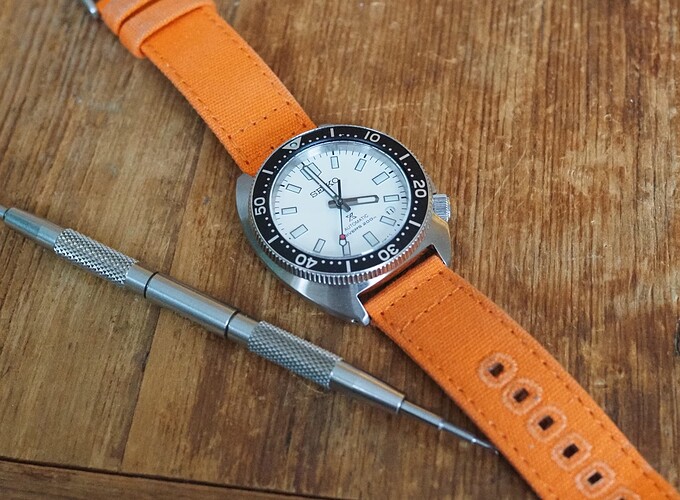 Seiko Slim Turtle SPB313 (11)