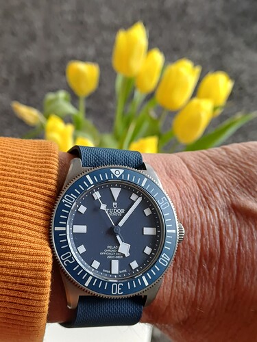 17753151343178297751821778358729