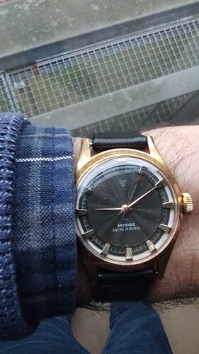 17689829939871245979721378074237