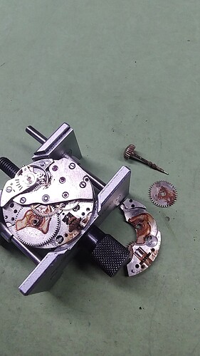 IMG_20260124_115220712