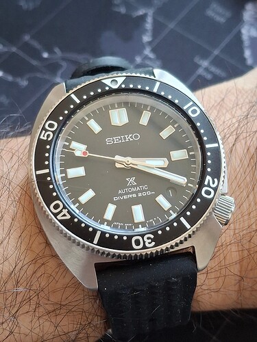 17737572112149040862945698396781