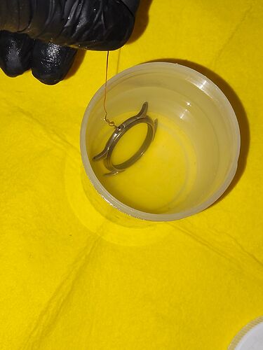 IMG20260128171638   2