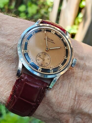 Siduna Commander   4