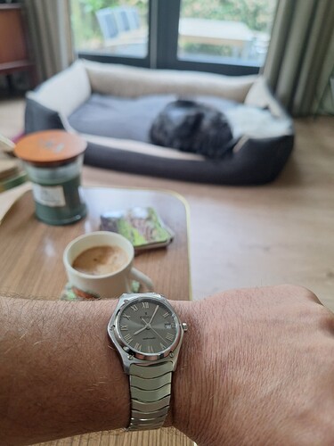 17772699171293130130519830551287