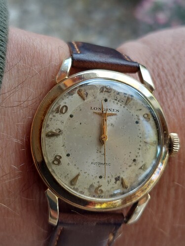 17579301693423517713876628259066