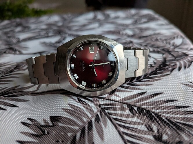 PXL_20251019_062939863.MACRO_FOCUS