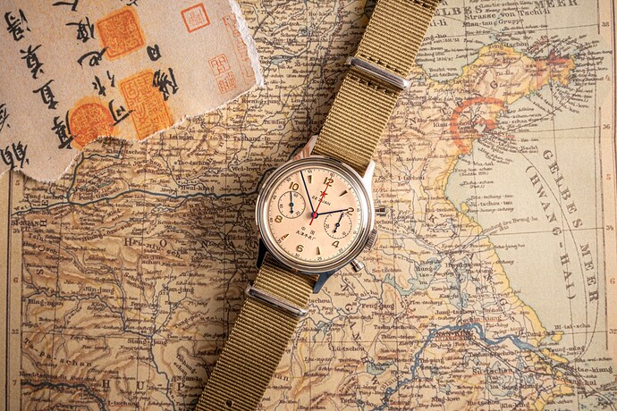 20250327 Seagull 1963-23