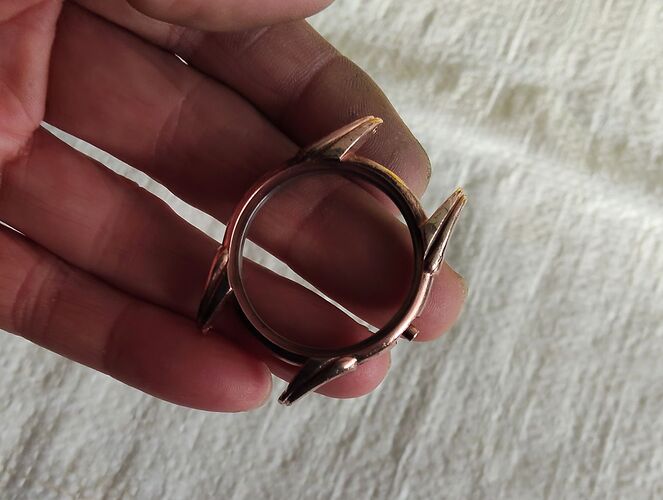 IMG20260216160358   1