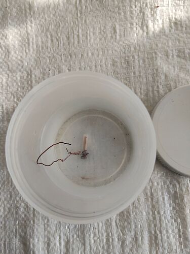 IMG20260303152907   1