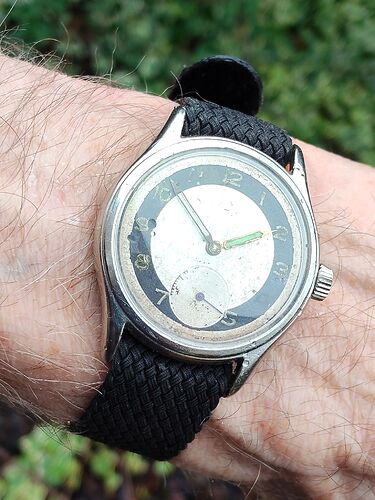 IMG20260211135333   3