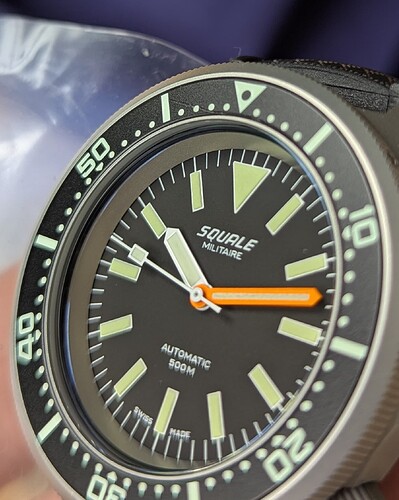 Squale9