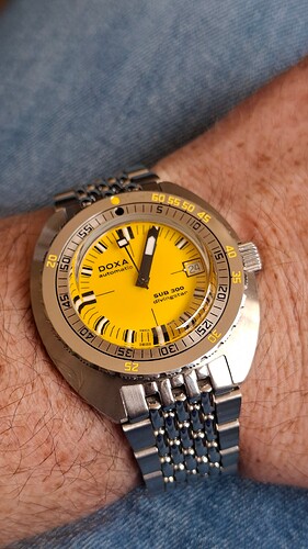 17743538873763066820331905178295