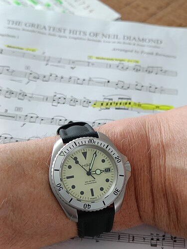 17759126650985346716054896491203