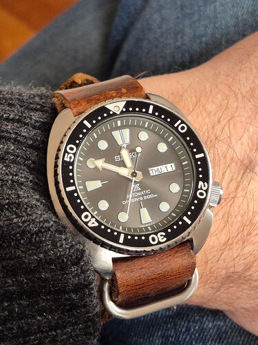 17654502252483999151185040890374