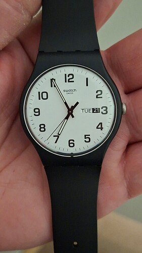 17767904415197229036033676274293