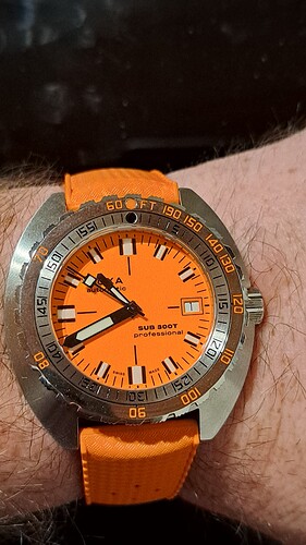 17540808297644600270334425869273