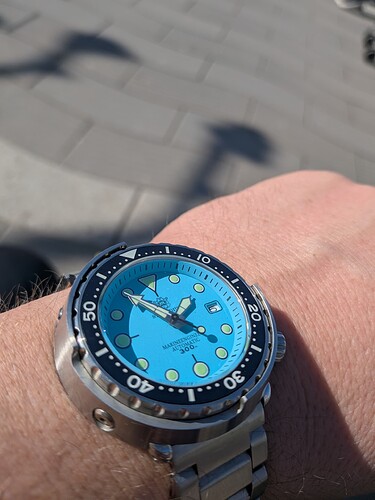 PXL_20260305_125413780.MACRO_FOCUS