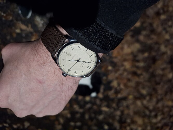 17651662186953556473771263626538