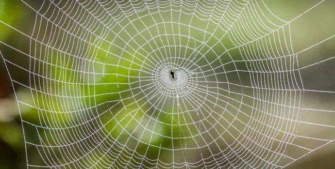 Schermafbeelding 2026-03-26 om 14.52.40