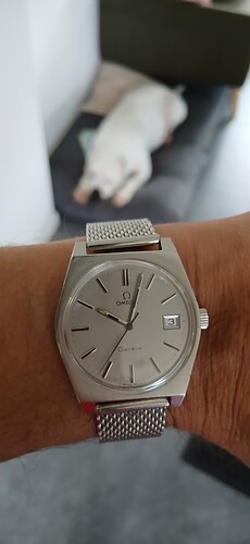 17752034565437413192390184153239