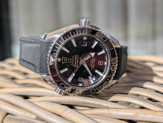 PXL_20260416_143852798.PORTRAIT