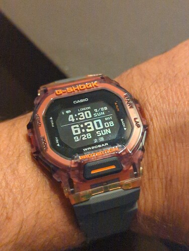 17590337938132552048556227401202