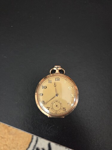 Gouden Zakhorloge (2)