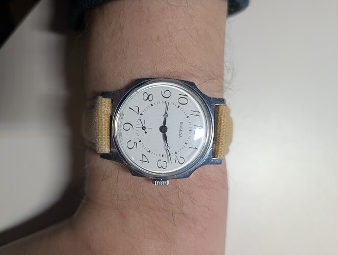 PXL_20260219_100729942