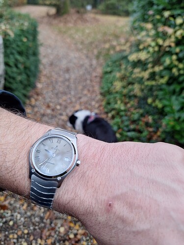 17626773436342152085676964053885